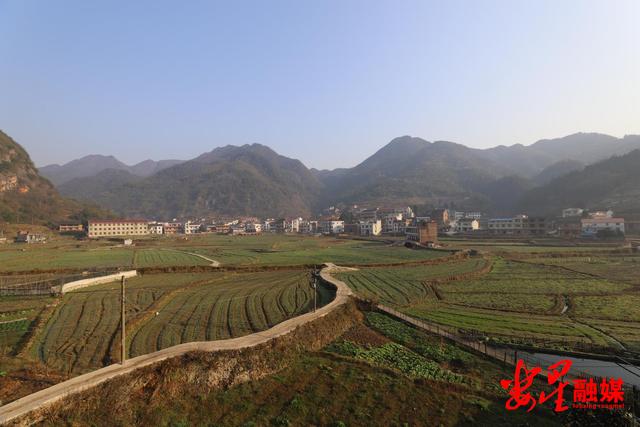 CF7月大王驾到活动奖励及地址 礼包活动内容有什么-太阳集团tyc(图3) 太阳集团tyc