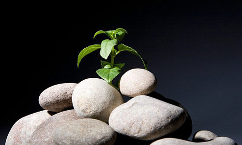 常规赛进入第三周 积分争夺战更为激烈:太阳成集团tyc(图1) 太阳成官网