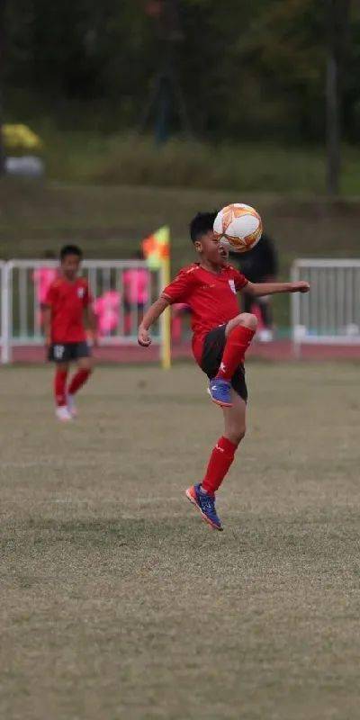 江苏省足协青训俱乐部联赛冠军赛在扬州开赛“太阳集团tyc”(图7)
江苏省足协青训俱乐部联赛冠军赛在扬州开赛“太阳集团tyc”(图7)