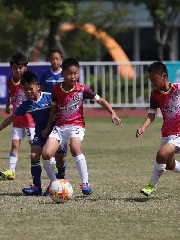 江苏省足协青训俱乐部联赛冠军赛在扬州开赛“太阳集团tyc”(图11)
江苏省足协青训俱乐部联赛冠军赛在扬州开赛“太阳集团tyc”(图11)