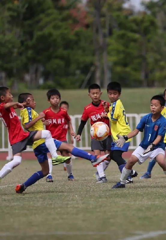 江苏省足协青训俱乐部联赛冠军赛在扬州开赛“太阳集团tyc”(图12)
江苏省足协青训俱乐部联赛冠军赛在扬州开赛“太阳集团tyc”(图12)