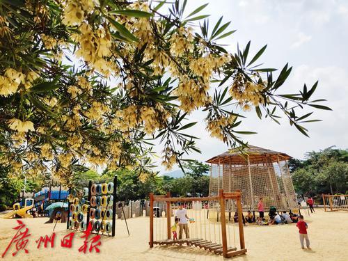 太阳成官网:欧罗巴杯: 终场比分1:1 弗洛戈雷 VS 英奥达尼握手言和(图1) 太阳成官网