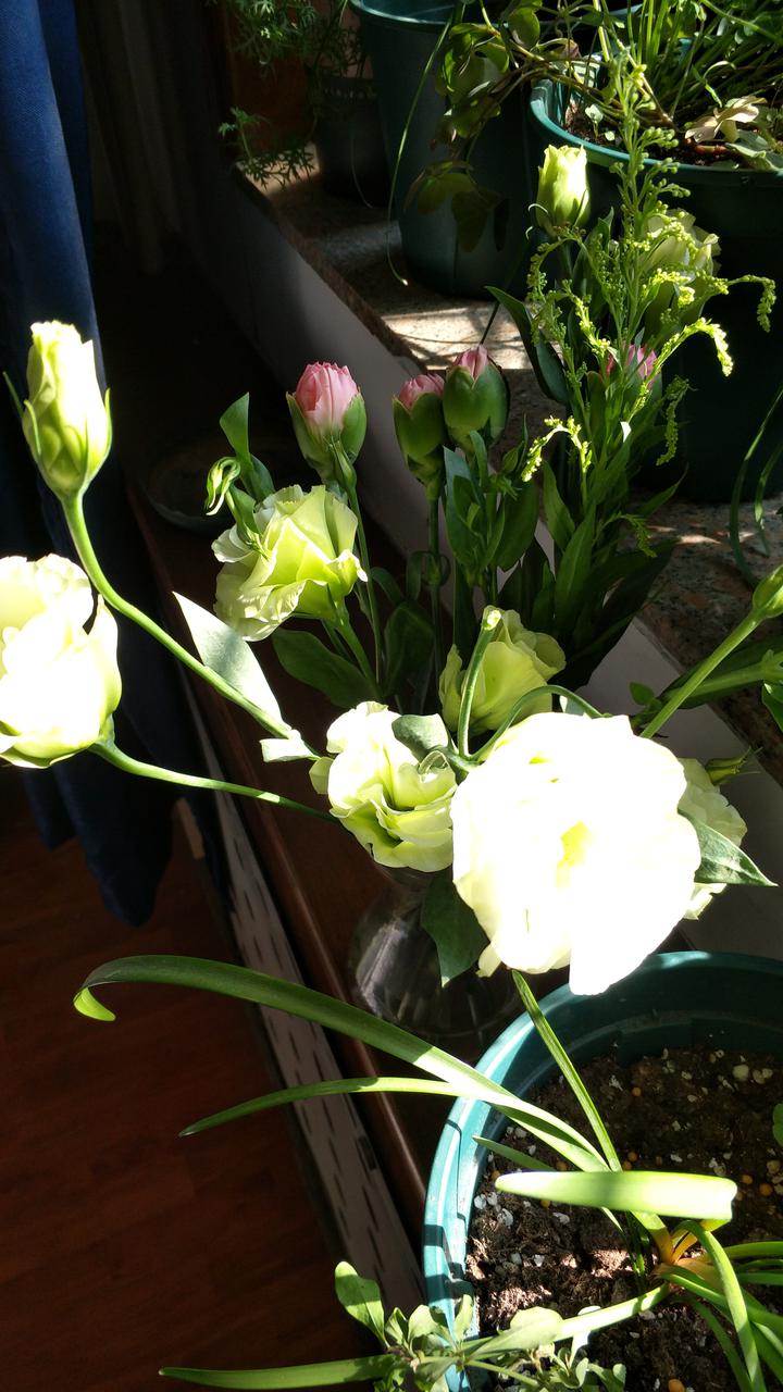 恒逸文莱炼化项目产出合格产品【太阳成集团tyc】(图1) 太阳成官网