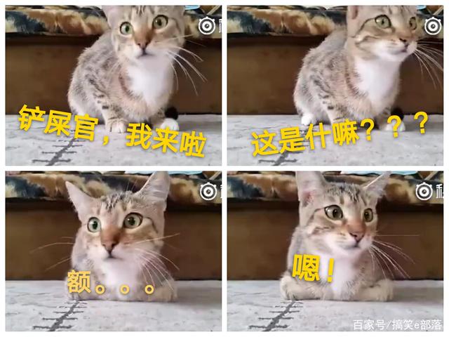 挪丙: 梅尔胡斯 VS 乐范格尔B队比分3:3进球战平“太阳成集团tyc”(图2) 太阳成集团tyc